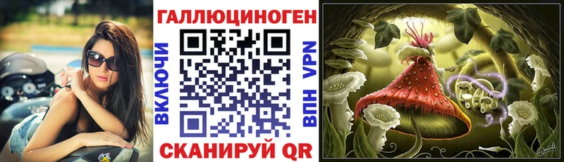 Псилоцибиновые грибы GOLDEN TEACHER  Нерехта 